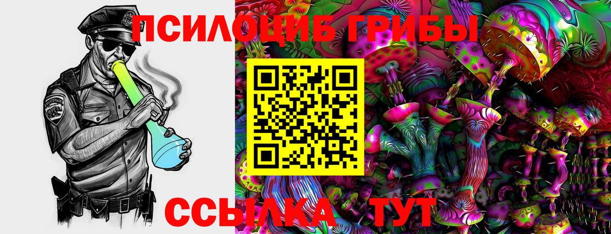 Псилоцибиновые грибы мухоморы  продажа наркотиков  Салехард  Вход с VPN 