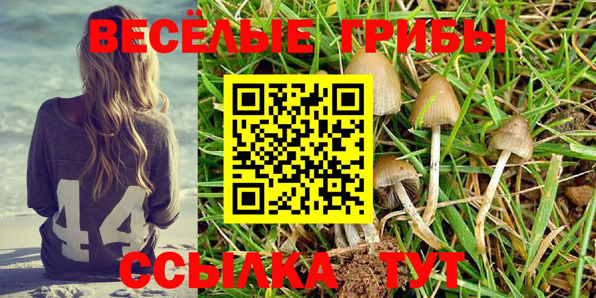 Псилоцибиновые грибы мицелий Салехард